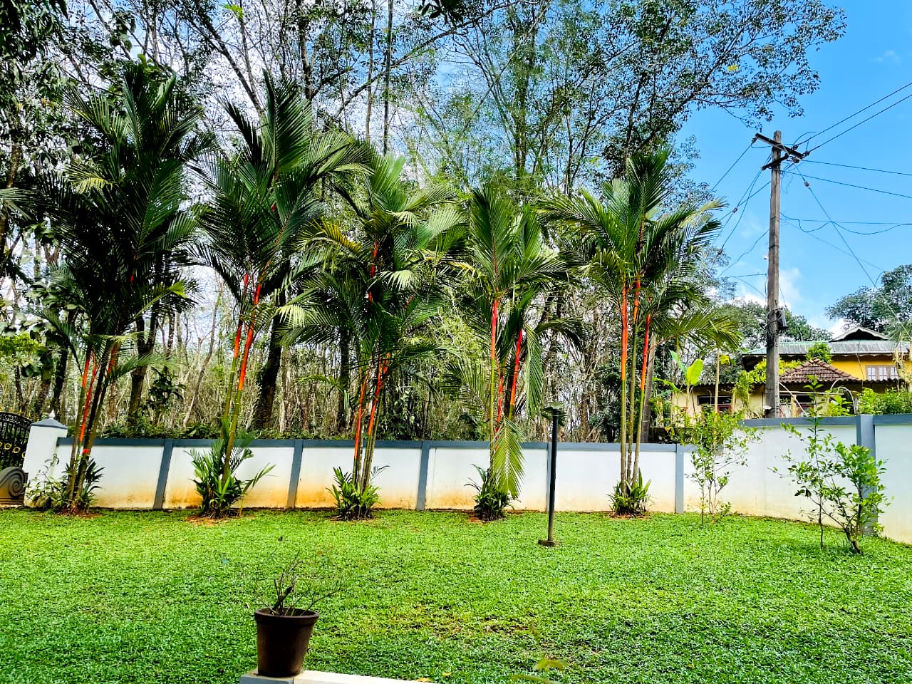 Guardian Green landscaping project - lush garden design